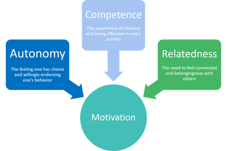 Image showing the three components of self-determination theory: competence, autonomy and relatedness, all contributing to motivation.