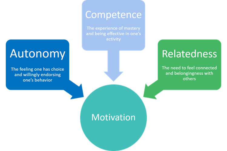 What Is Autonomy And Self Determination