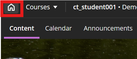 home button highlighted from the Course view