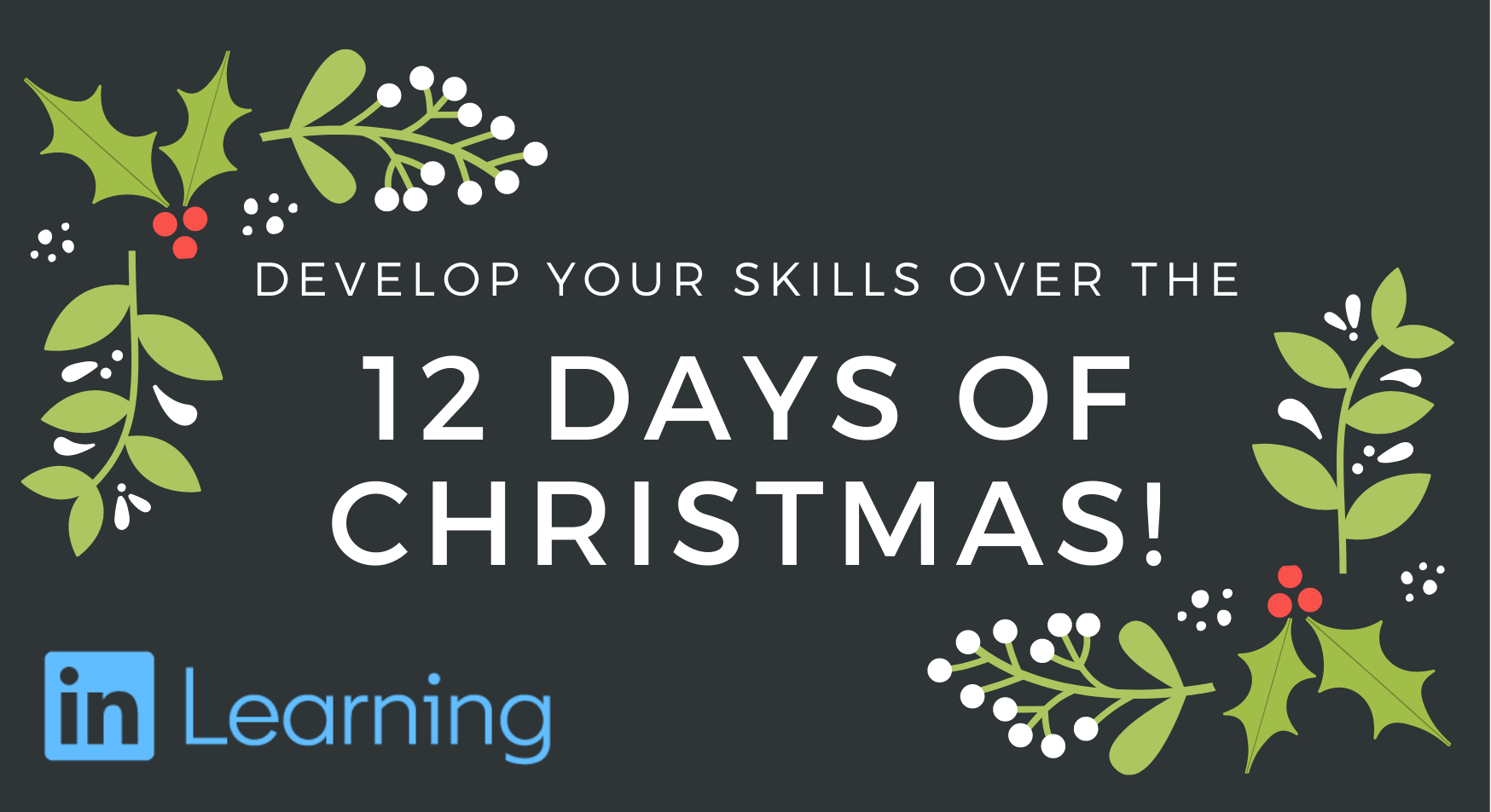 The Days Of Christmas For 2022 Develop Your Skills Over The 12 Days Of Christmas! |