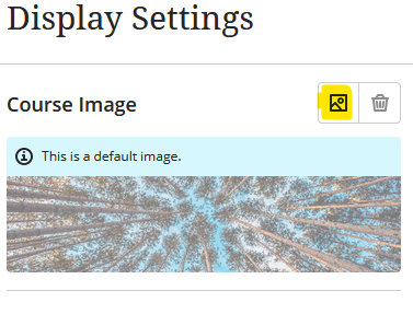 Course Image with picture icon highlighted to add an image