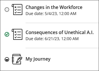 Screenshot of progress tracker from a student's perspective