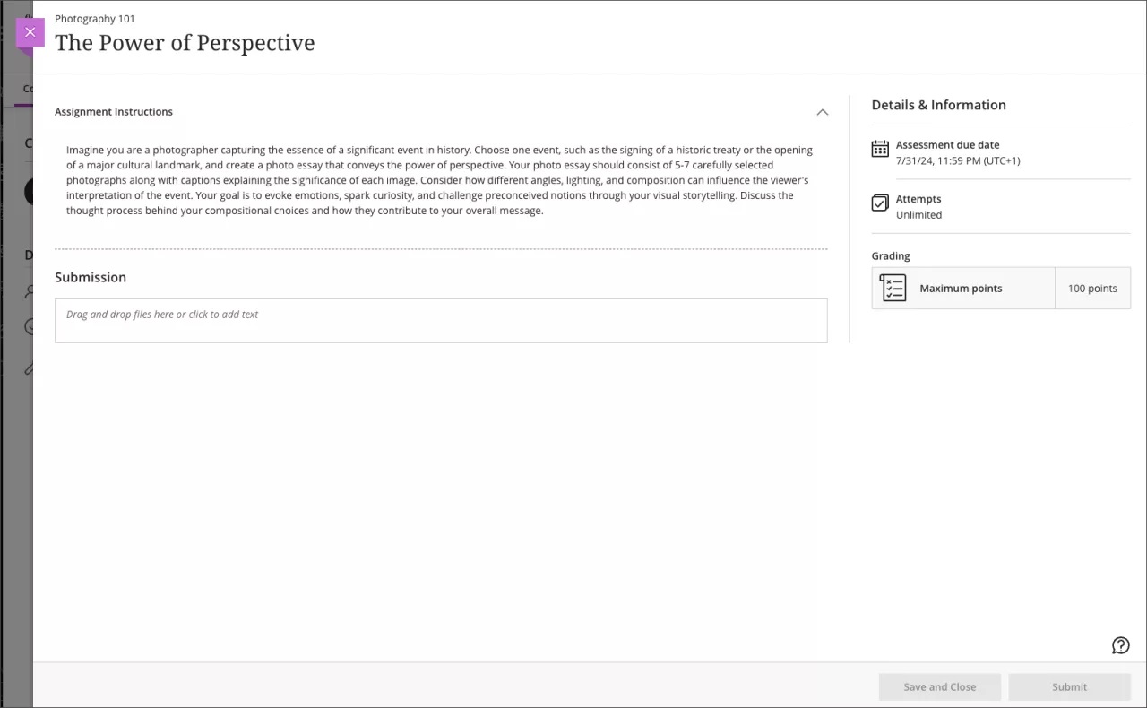 Student view of the assignment instructions 