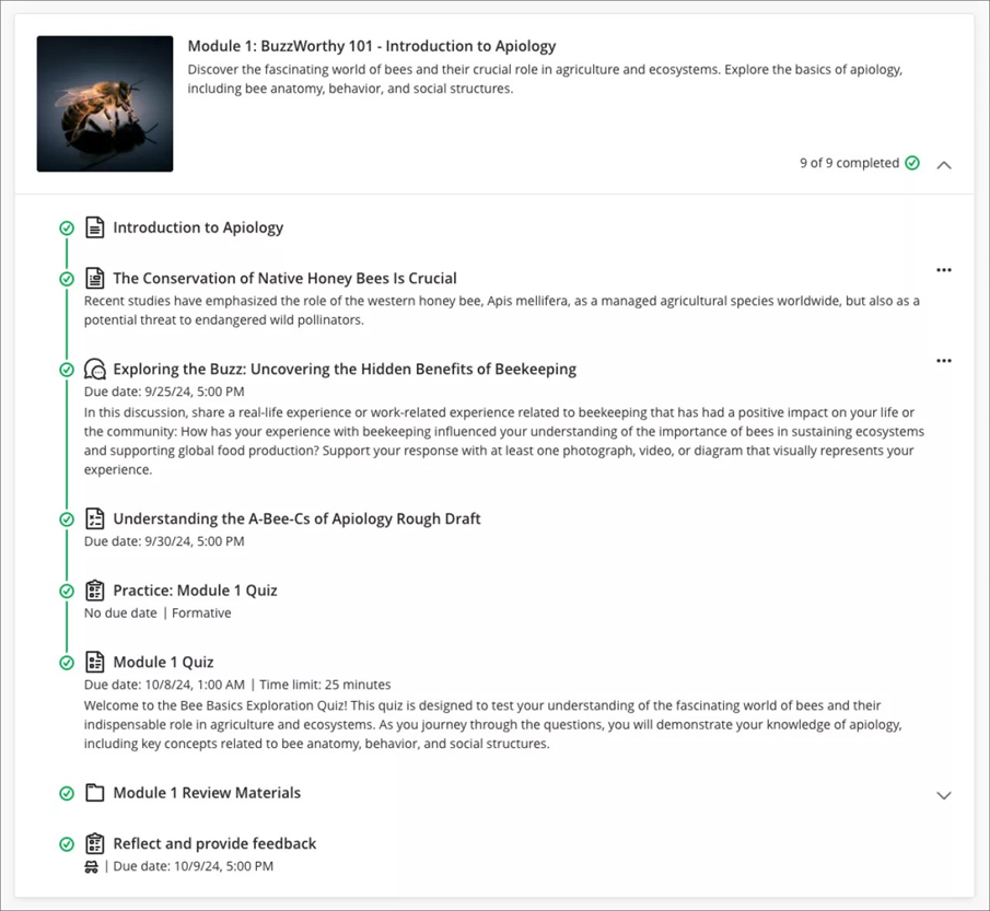 A screenshot of the Student view: Content item presentation for a Learning Module