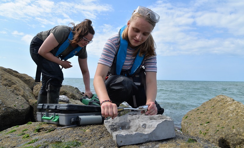 students taking samples at the beach